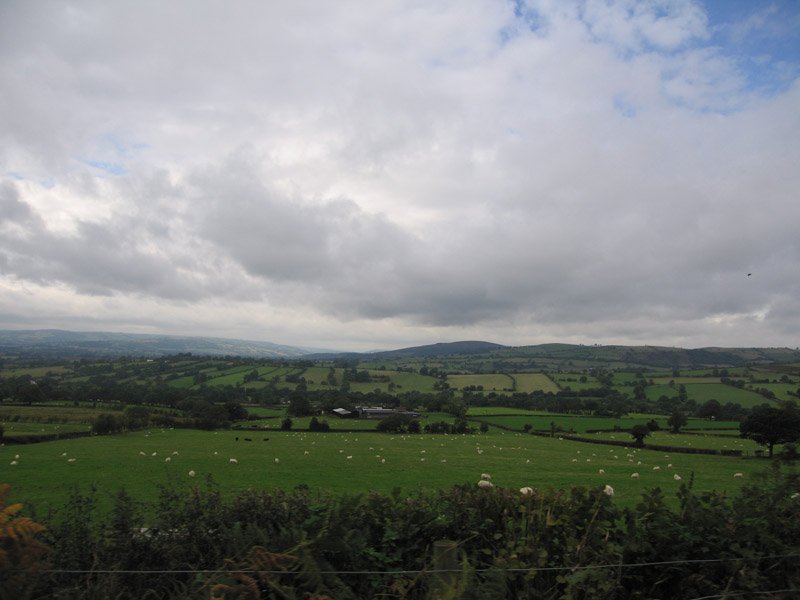the fields were dotted with sheep

