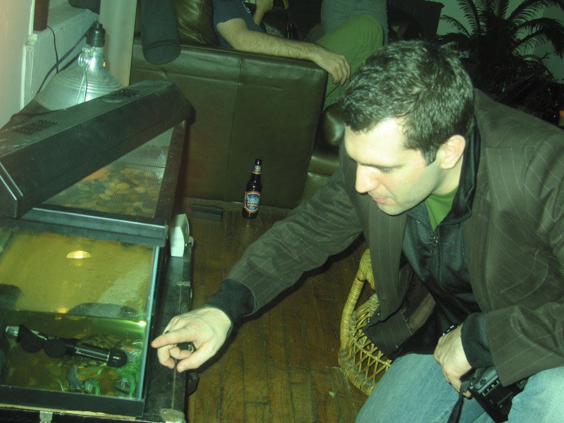 Julian playing with little wurtle
