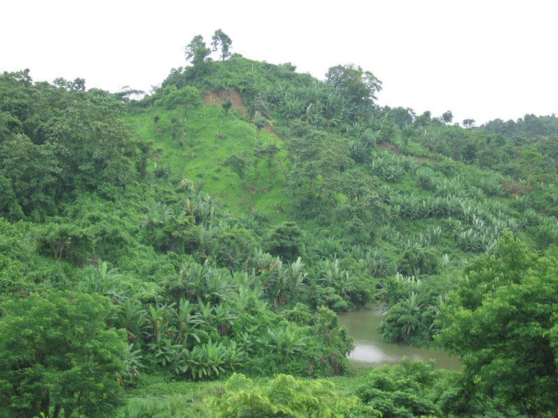 Bandarban is the hilly part of Bangladesh, very different from the rest of the country, which is mainly a network of river deltas. Part of the Chittagong Hill Tracts with dense jungles, the population is moslty tribal
