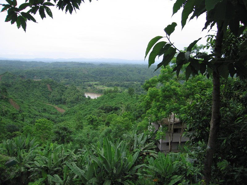 we stayed in a cabin above the main lodge/dining area. this is one of the many shots of the amazing view from the balcony of the lodge.
