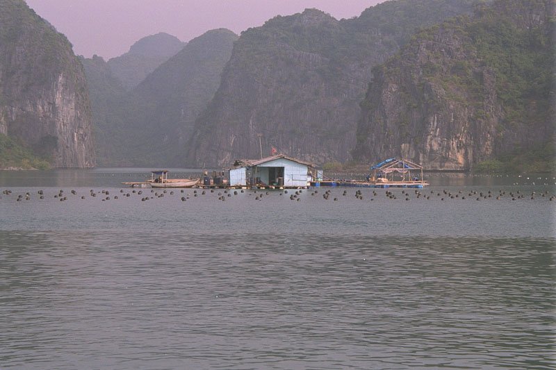 a floating house in ha long bay
