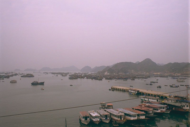 the Cat Ba harbour filled with hundred of these fishing boats
