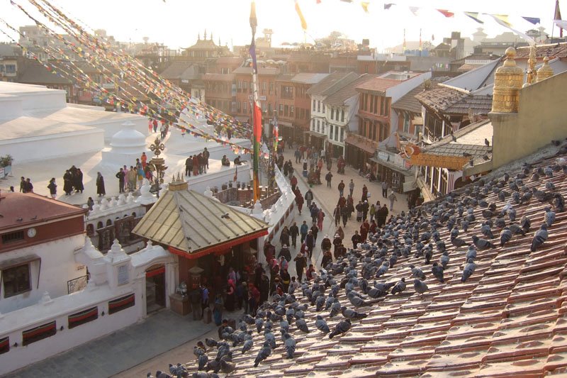 the "square" (really a circle) around the stupa. it was beautiful being there at sunset, with the people, the mountains, even the pigeons!
