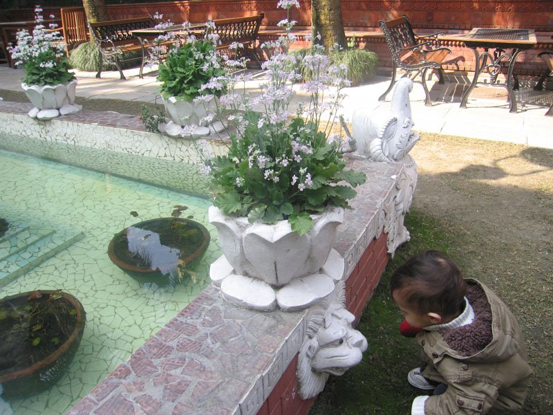the moppit was fascinated with any animal shaped figures he saw on this trip. checking out the garden of our hotel...
