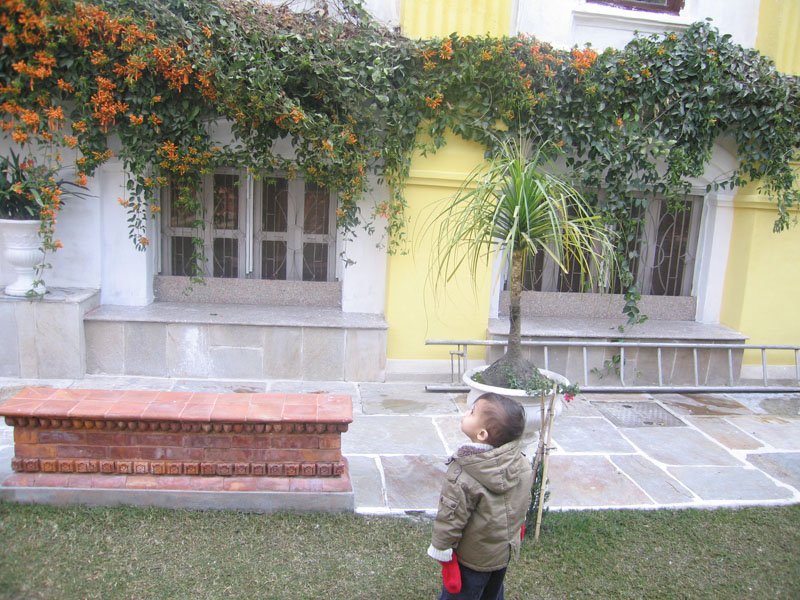 i was babysitting the moppit while brother & sister-in-law were having breakfast. so i took him to the garden which held his interest for about 10 minutes
