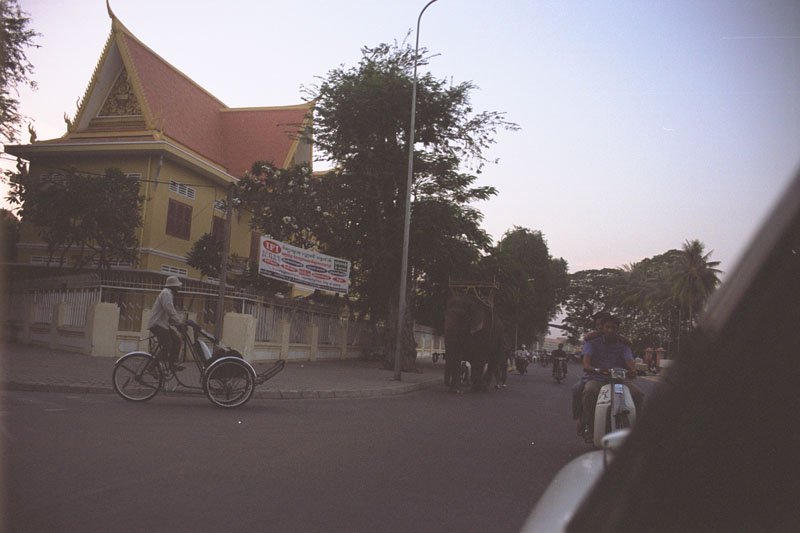 an elephant walking down the street
