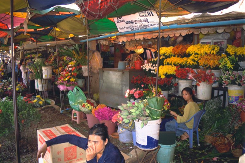 flower stalls
