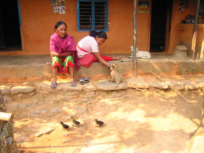ducklings, puppies... the moppit was entranced
