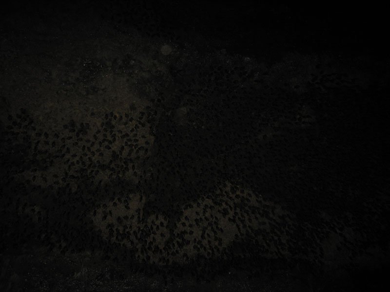 the 2nd and last of our cave experiences. this one was actually really interesting and worth the excruciating process. the cave was deep down and pitch dark. we had one lamp with us, which barely shed enough light for one person to walk, let alone 4.
