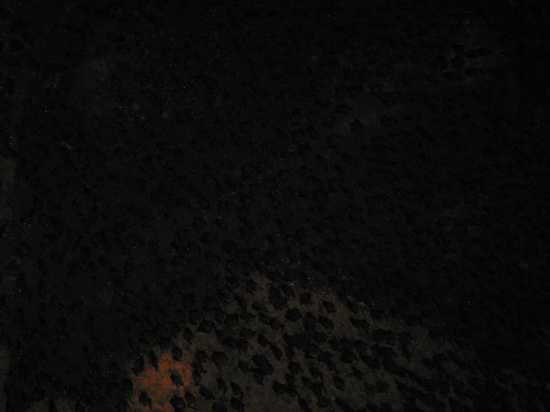 shahrina & i both had panic attacks once we were deep inside the pitch black cave & slipping & sliding on bat shit. got seriously claustrophobic & started freaking out. but then we realized we were surrounded by thousands of these bats!
