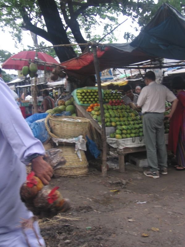 this man just bought 2 live roosters
