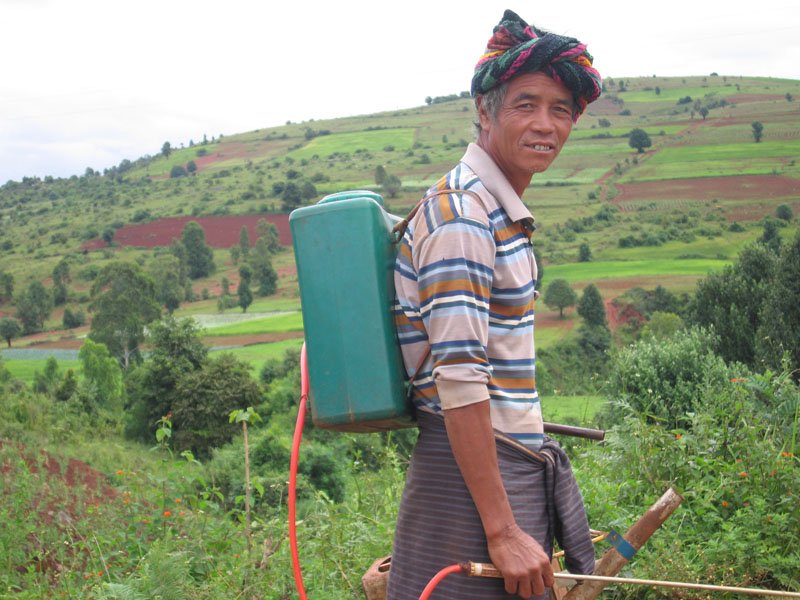 man spraying in the fields
