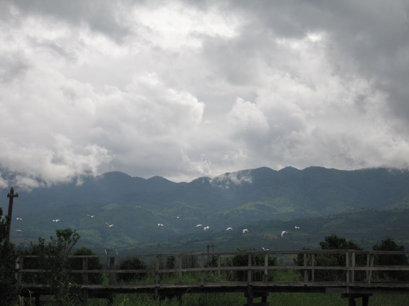 flying off as our boat approaches
