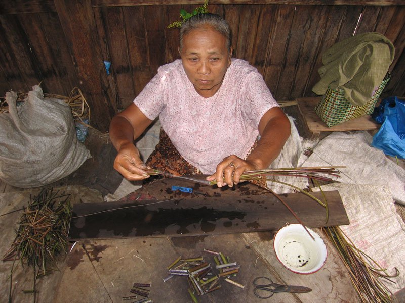 lotus fabric, unique to burma. this woman is pulling fragile fibers from lotus stems; the fibers will be spun to form stronger thread. stems have to be used within 3 days of plucking, and over 100,000 stems are needed to make a monk's robe.
and the lotus is not cultivated, they grow wild. the process of making just the thread involves an incredible amount of work, let alone weaving lotus thread which requires special looms. the monks get to wear lotus fabric - so much devotion & hard work goes into their simple garb
