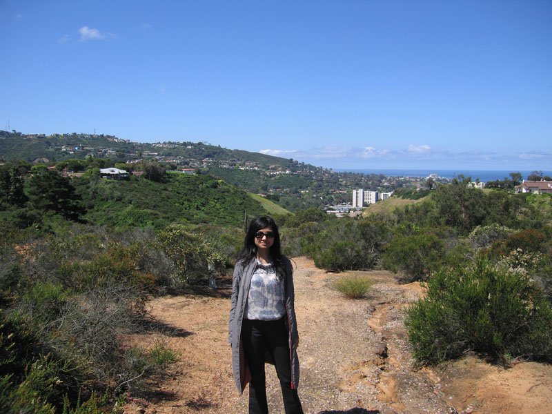 the hills of la jolla, overlooking the pacific

