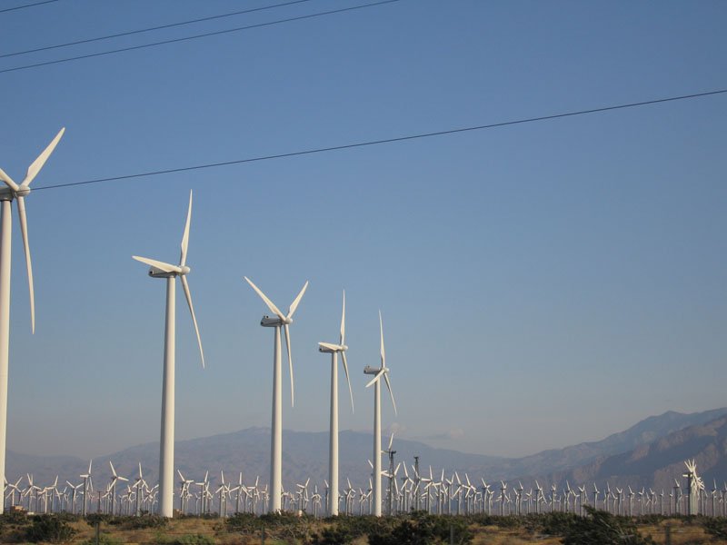 forest of windmills - there are around 3500 windmills here and they generate approx 1.5% of California's electricity!
