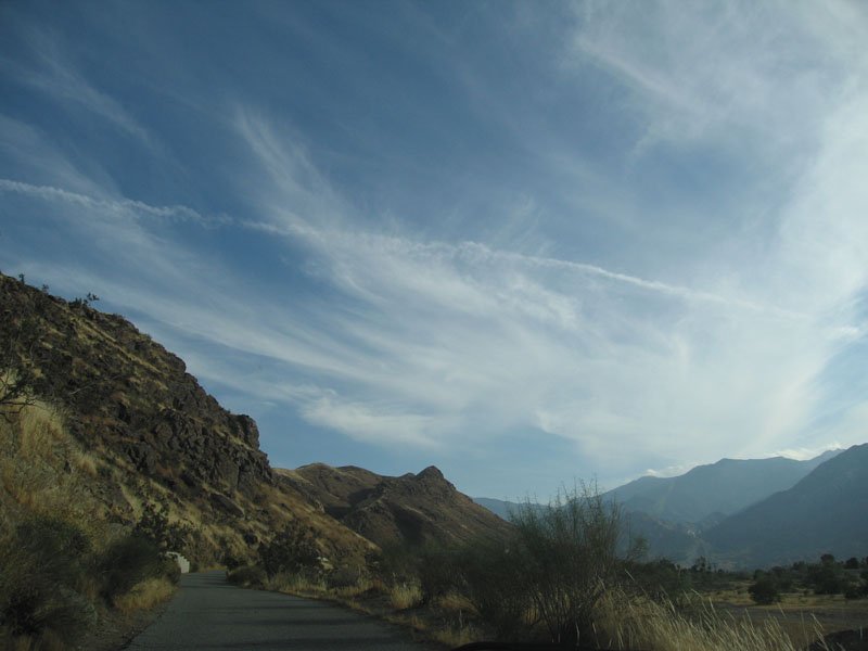 there are houses scattered up the hill along this driveway. i coudn't get over the views
