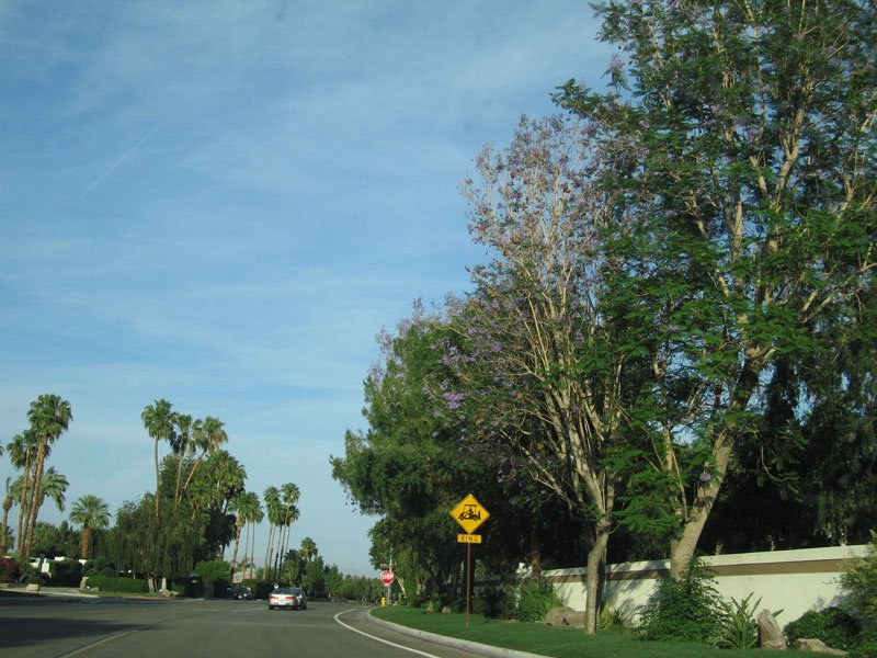 Palm Desert - see the golf-cart crossing sign
