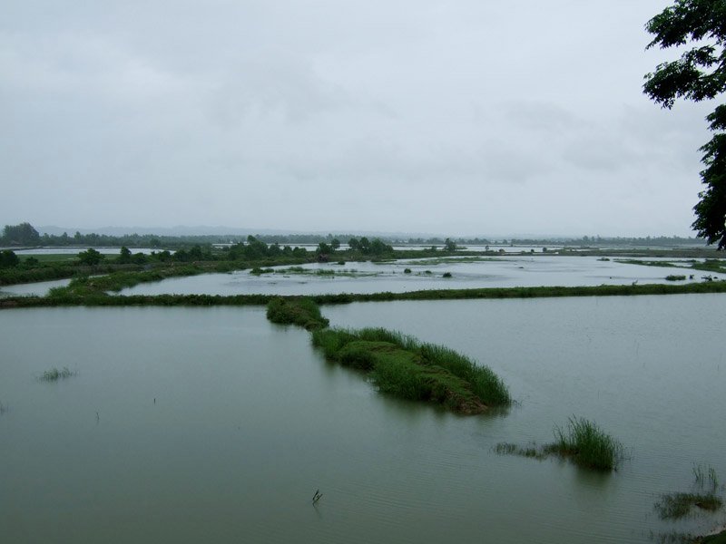water everywhere.  so beautiful. the water on the other side of the far strip of land is the Naaf River.  and in the background are the hills of Burma
