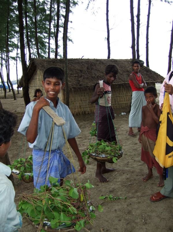 two kids carrying part of the day's catch--the fish are packed in baskets with leaves, then slung on a pole.
