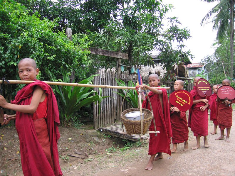 young novice monks
