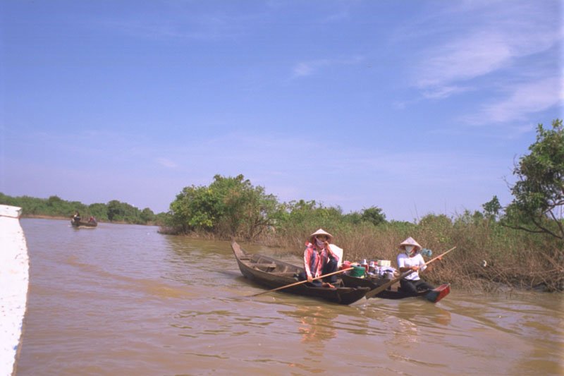 boating past the mangrove in the Tonle Sap
