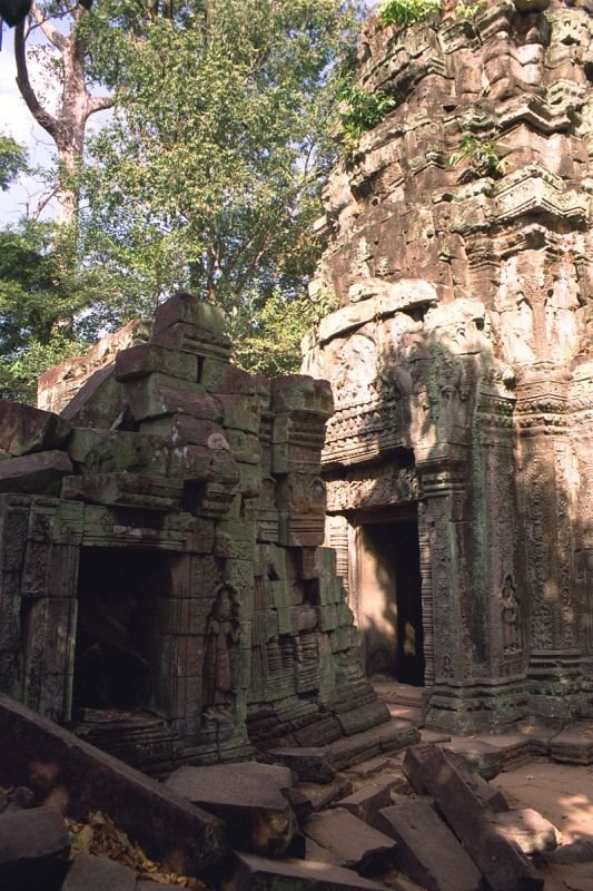 the movie Tomb Raider was filmed here at Ta Prohm
