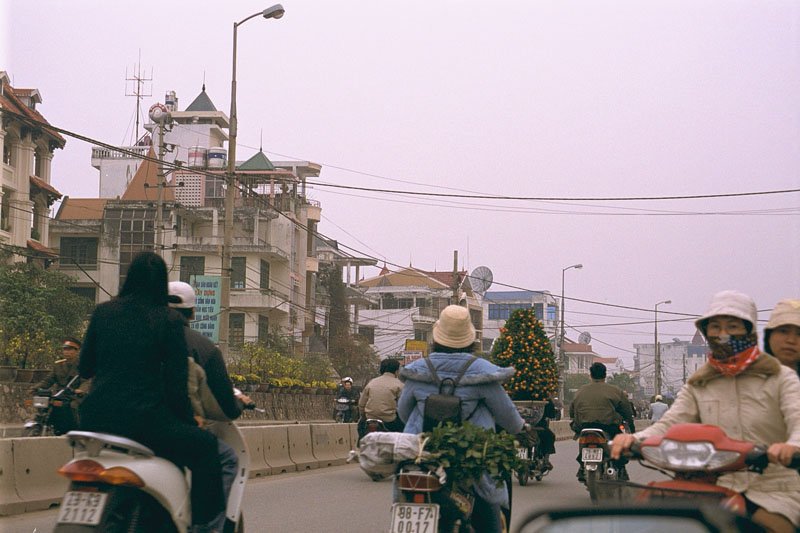 for Tet (vietnamese new year) everyone was buying these little orange bushes and carrying them home on the backs of their motorbikes

