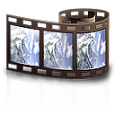 2006_1111_213337AA.AVI